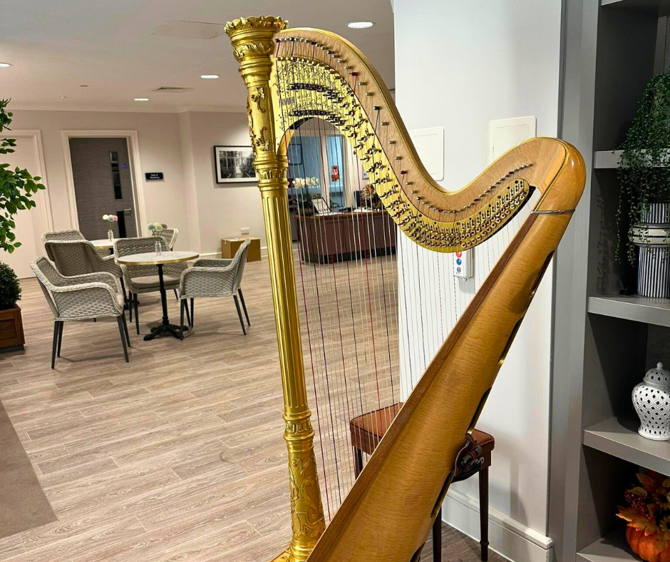 harp in Dorking Manor dining/cafe area.