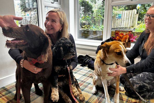 Milngavie Pooches at Competition