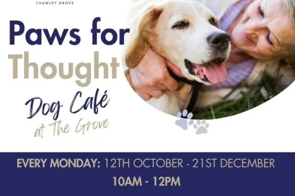  🐾 Paws for Thought – Dog Café at The Grove 
