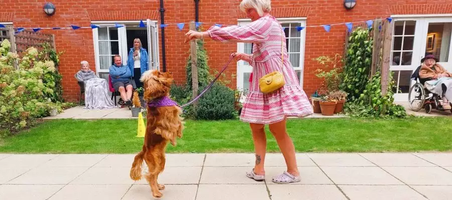 Guests Get a Round of 'A-Paws' When they Visit Richmond Manor