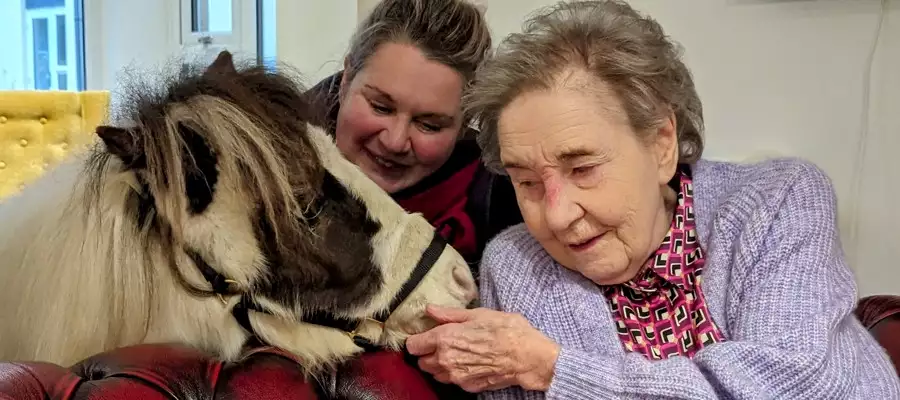 Adorable Apollo And Daisy Win Hearts Of Residents At Milngavie