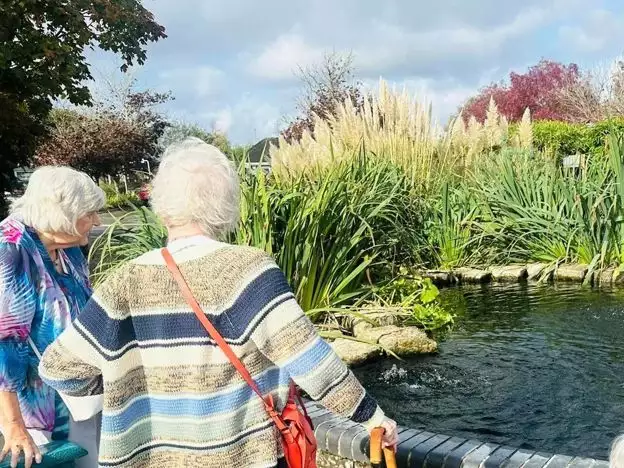 Hamberley Life  | Luxury elderly care homes 