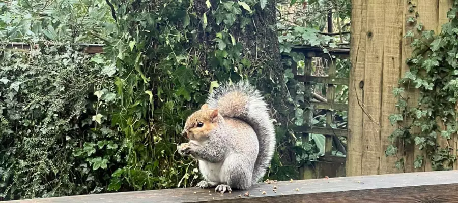 Feeling Good In The Great Outdoors At Verwood House