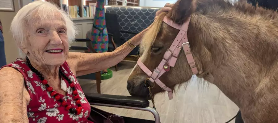 Helen Thrilled By Cambridge Grove Pony Experience