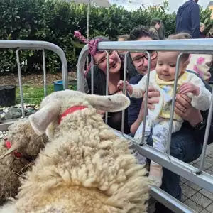 662636406 931706159616586 906801833871838525 N