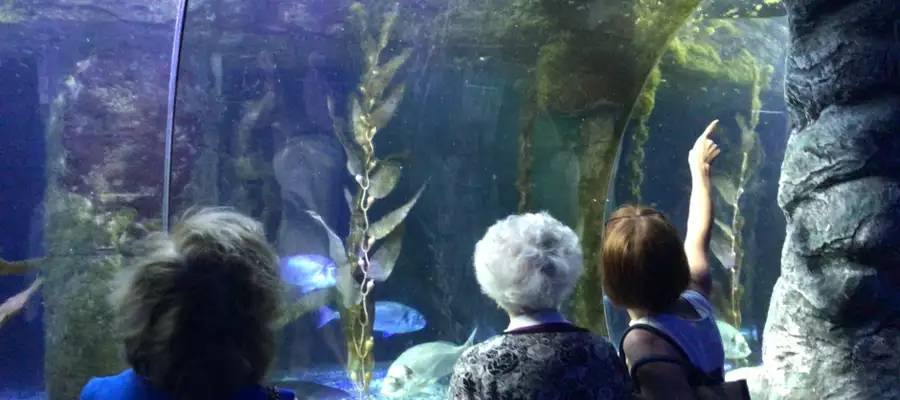 Milngavie Residents Explore Entertainment At Loch Lomond Shores