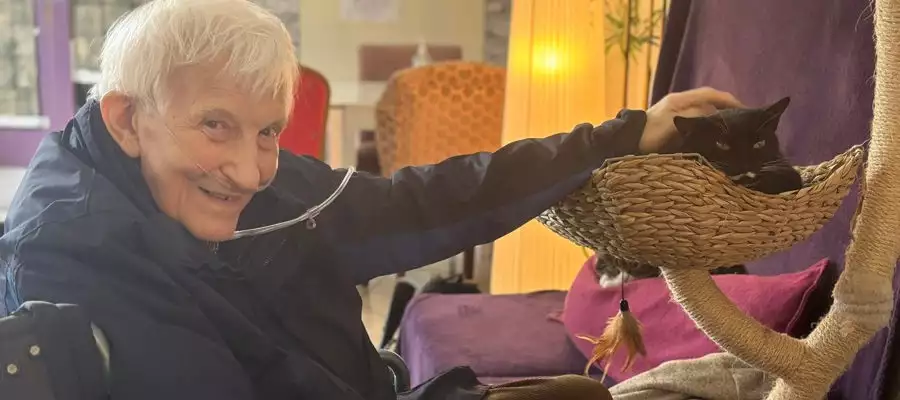 A Purr-fect Day Out: Newton House Residents Visit Glasgow’s Purrple Cat Café