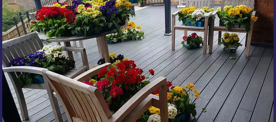 Walking Tours, TikTok Dance Moves and #clapforcarers.