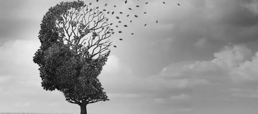 Dementia support: Where can I find help?