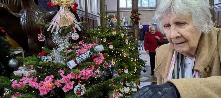 Cambridge Residents Help with Tree-Festival