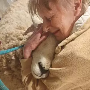 Ann And Steve Cuddle.Dorking