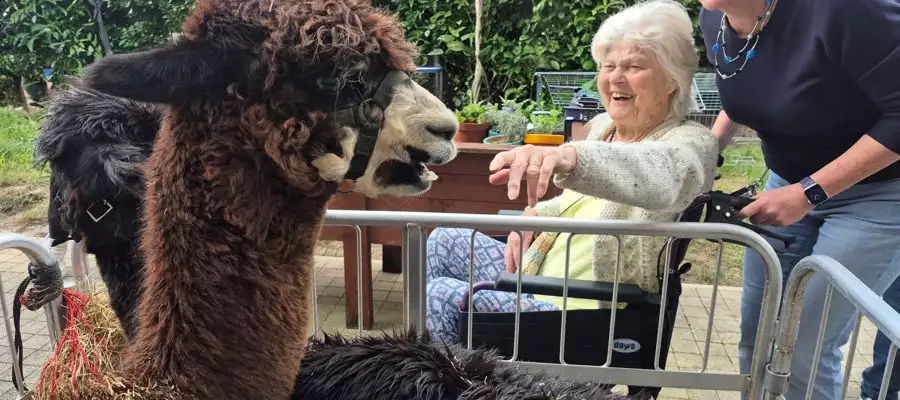 Easter Petting Farm Brings Joy to Lovell Place Care Home Community