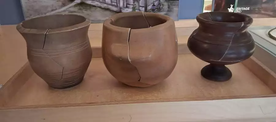 A Memorable Visit to Petersfield Museum and Flora Twort Gallery