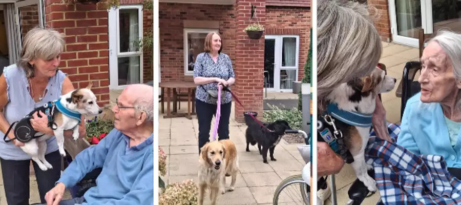 Care Home Dog Show Breeds New Friendship Between Kit And Honey