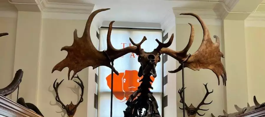 Montague House residents enjoy a lesson in history