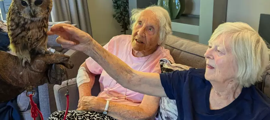 Cambridge Grove Residents Make Some Impressive Feathered Friends