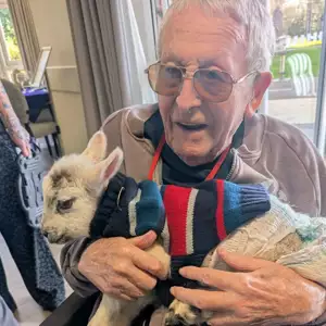 Baby Lamb Visit Brings Smiles To Upton Manor (5)
