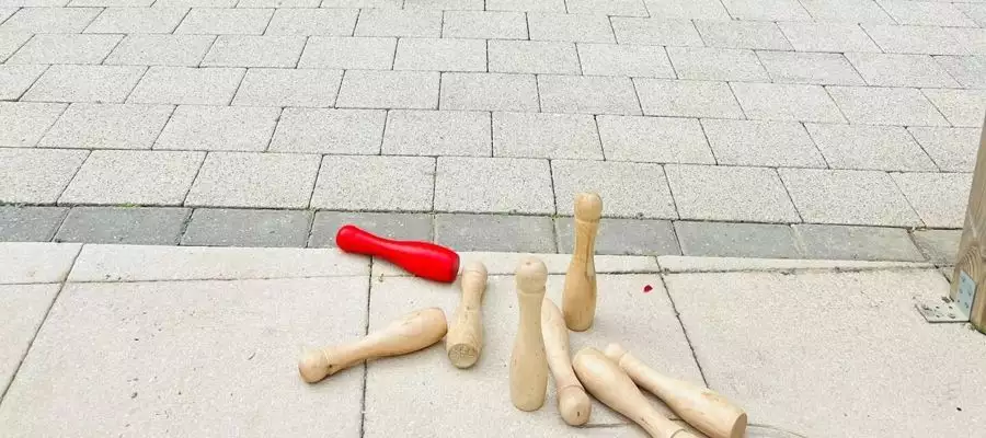 Golden Days Celebrated As Olympics Come To Richmond Manor 