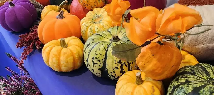 Big-Hearted Eastleigh Care Home Residents Support Charity Harvest