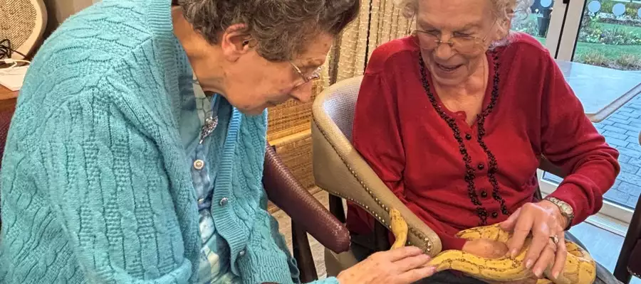 Hiss-terical fun at Cofton Park Manor