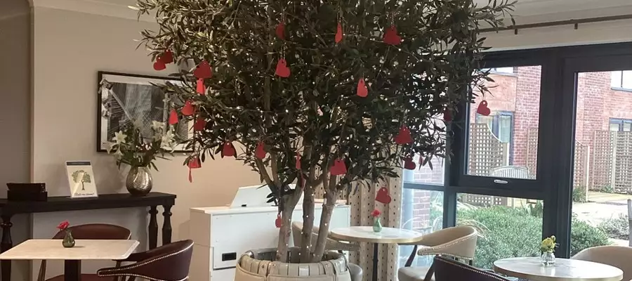 Messages Of Love Bring Life To Edwalton’s Valentine Tree