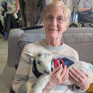 Baby Lamb Visit Brings Smiles To Upton Manor (4)