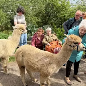 671281246 939856655467932 3762427896923840341 N