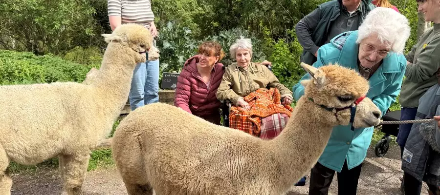 A Delightful Day Out at Bath City Farm for Meryton Place Residents