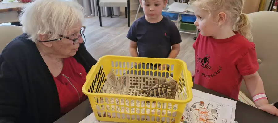 Tortoise Charlie Makes Star Appearance For World Turtle Day