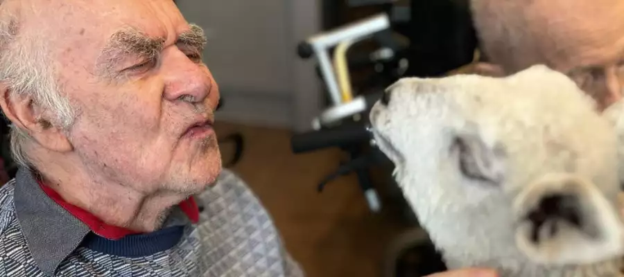 Adorable Animals Bring Feel-Good Factor To Abbots Wood Manor