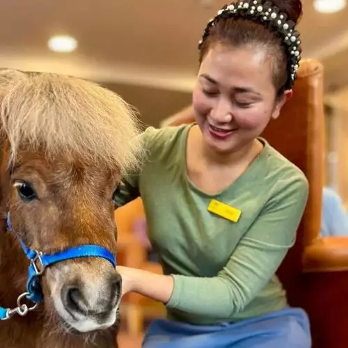 Our Homemakers give support and companionship