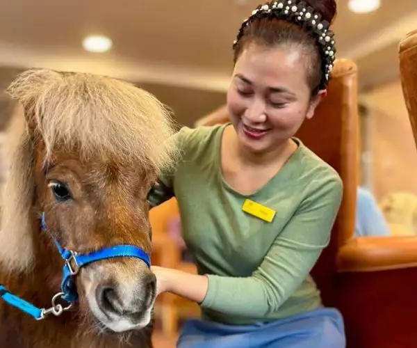 Our Homemakers give support and companionship