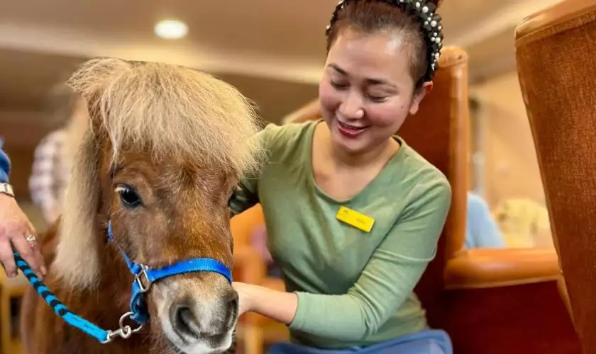 Our Homemakers give support and companionship