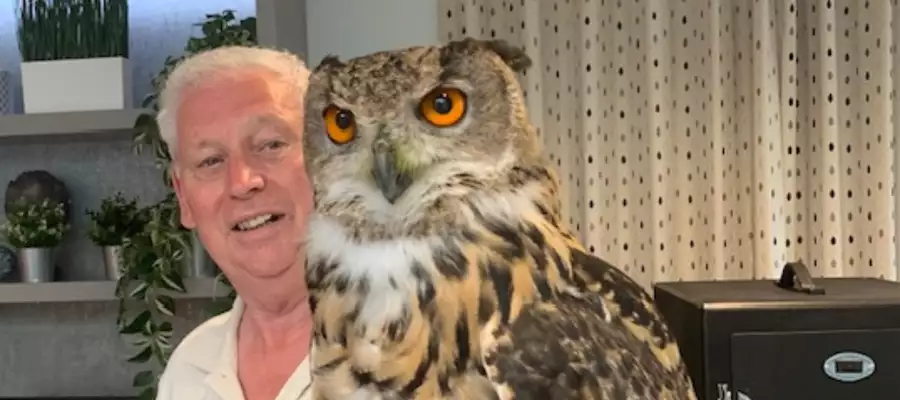 What A Hoot For Chawley Grove When Feathered Guests Fly By